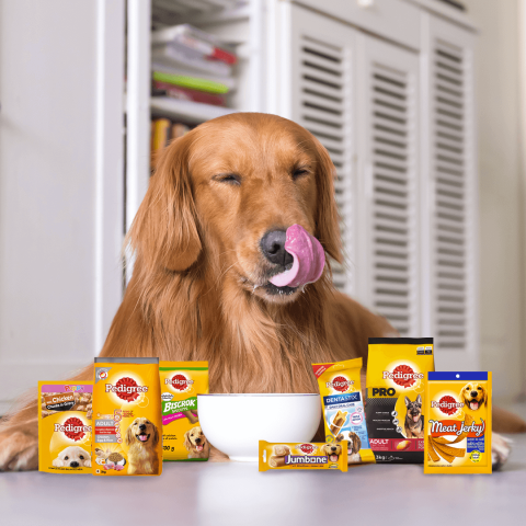 Image of dog with food